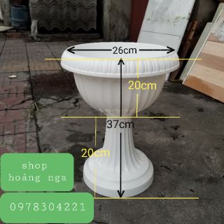 Chậu ly trồng cây