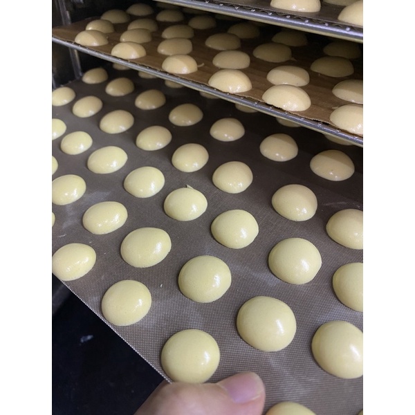 bánh lòng đỏ trứng sữa ( hũ dùng thử)