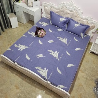Bộ ga chun cotton Hàn Quốc 1,6*2m