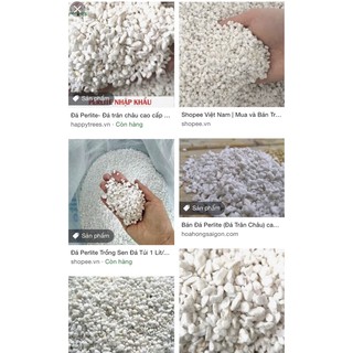 Đá bọt Perlite gói 150g