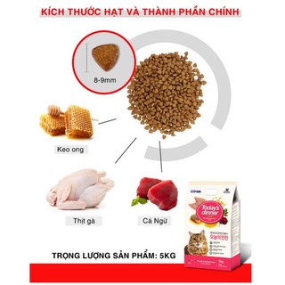 Hạt Today Dinner 5kg