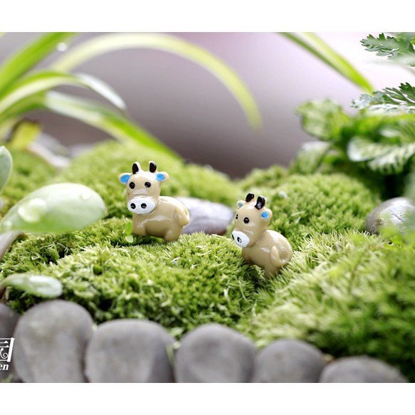 Tiểu Cảnh - Bò Sữa làm Tiểu Cảnh/ terrarium/ mô hình trang trí