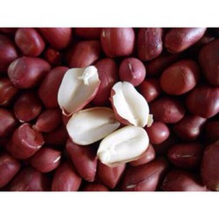 lạc đỏ nam định 1kg