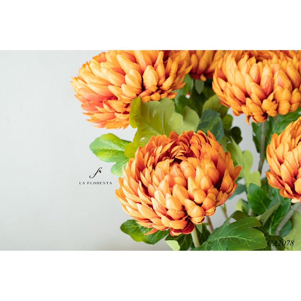 Cành hoa Cúc Mẫu Đơn 1 bông phù hợp với trang trí và decor nhà cửa