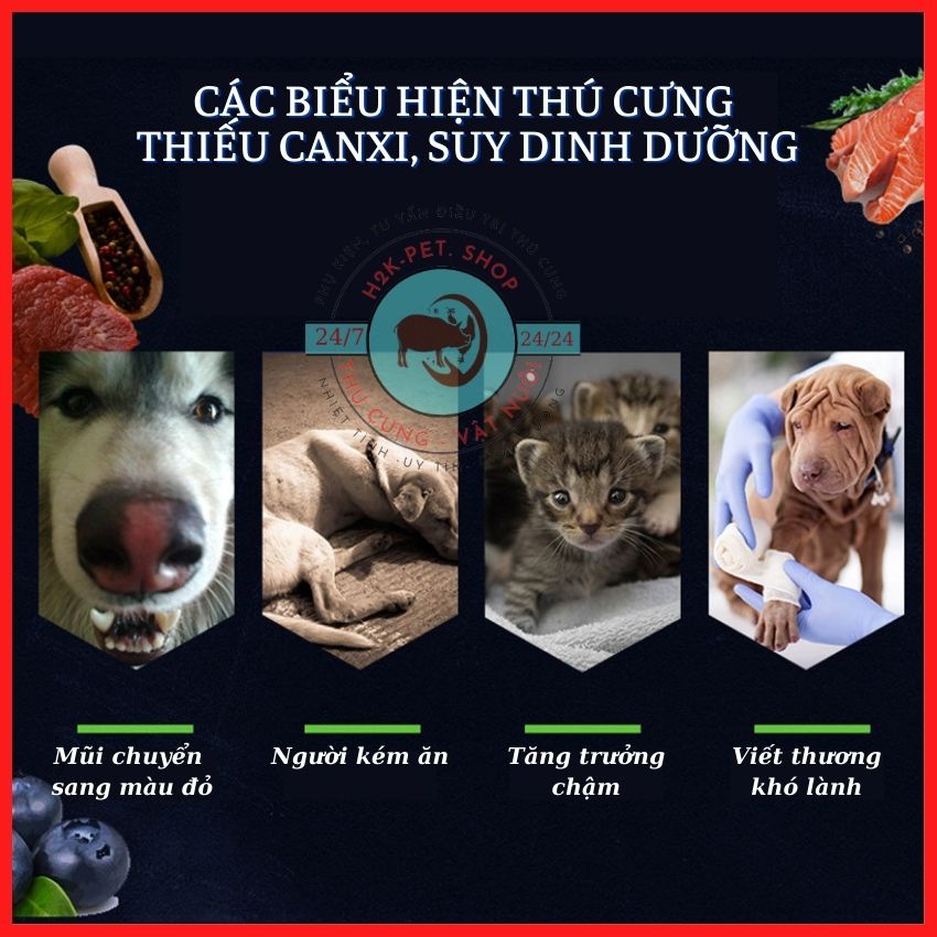 [COMBOR] 4 Hộp Canxi, Giải Độc Gan, Men Tiêu Hoá, Vitamin Tổng Hợp Cho Chó Mèo, Chăm Sóc Sức Khoẻ Toàn Diện Cho Vật Nuôi