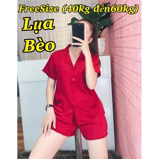 ( Freesize Lụa ) Đồ Bộ Pijama Lụa viền bèo - Tay Ngắn Quần Ngắn
