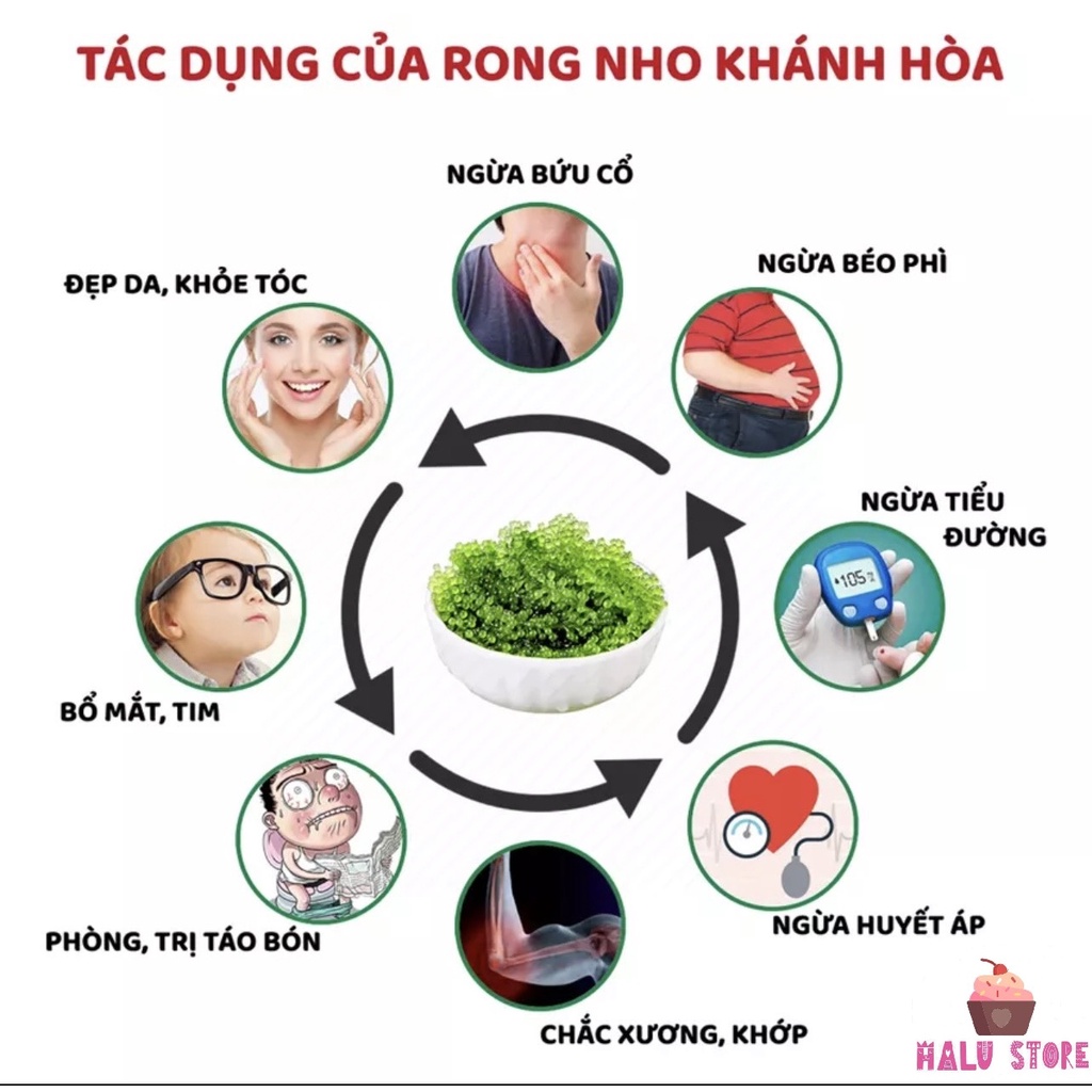 [SIÊU HOT] Rong Nho Tách Nước Khánh Hoà - Công Nghệ Tách Nước Tiêu Chuẩn Nhật Bản