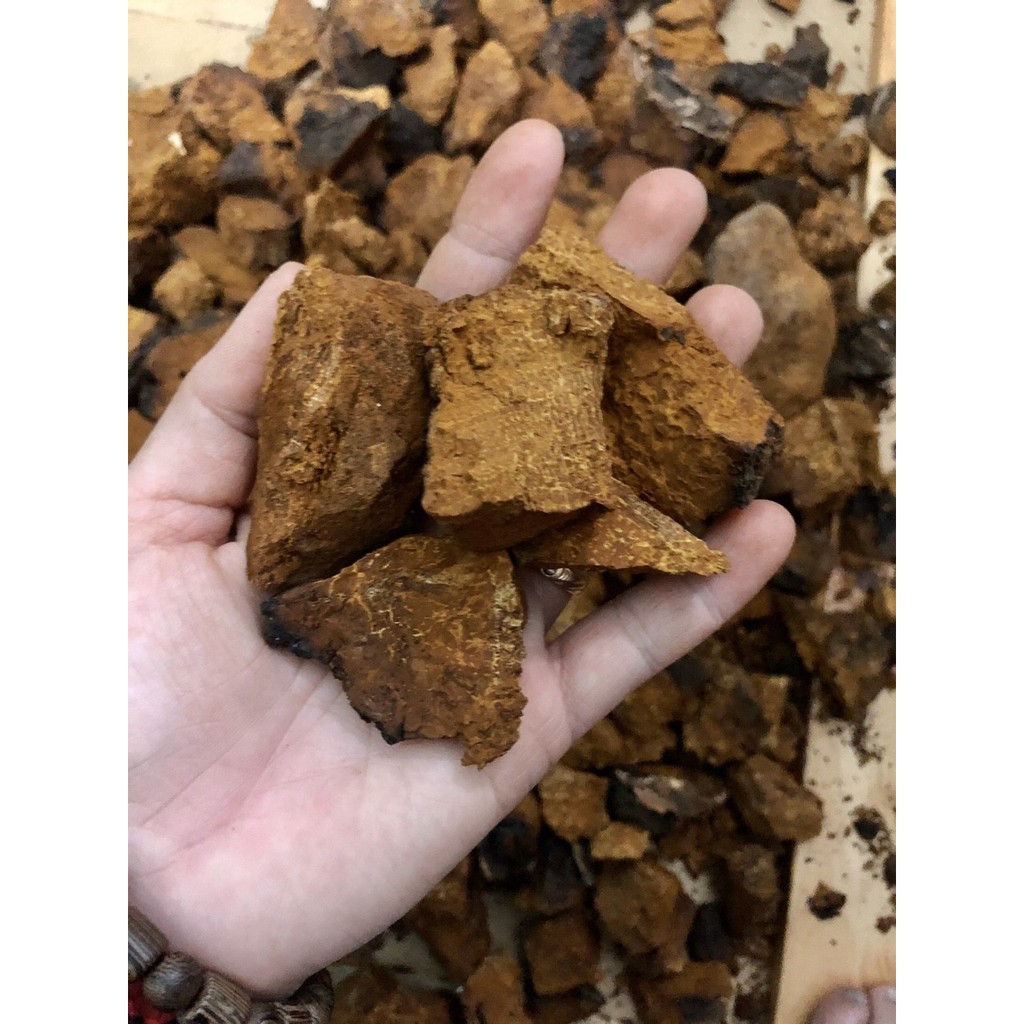 Nấm Chaga nhập khẩu chính hãng Liên Bang Nga | BigBuy360 - bigbuy360.vn