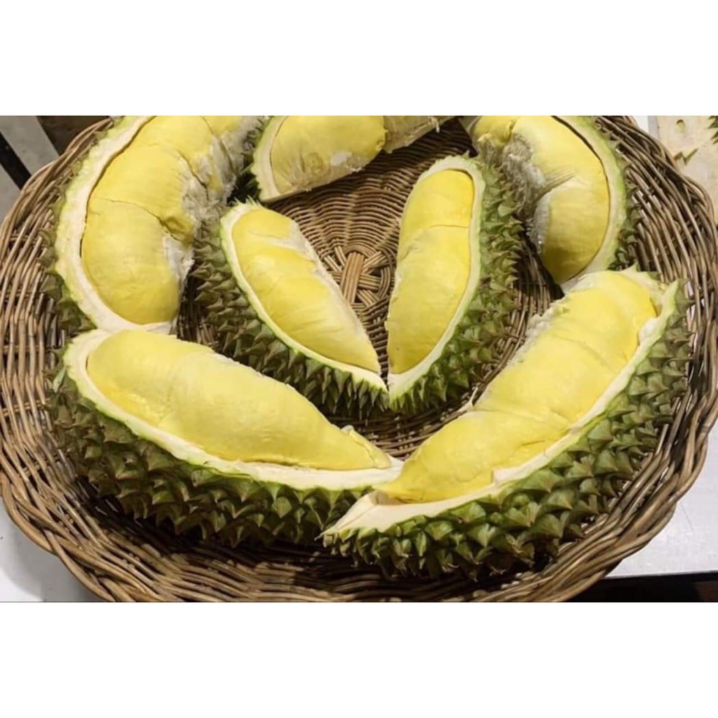 QUẢ SẦU RIÊNG ĐẦU MÙA LÂM ĐỒNG BAO ĂN QUẢ LỚN TỪ 2kg | BigBuy360 - bigbuy360.vn
