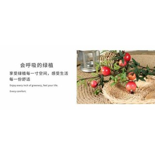 CÀNH LỰU TRƯNG TẾT 2021