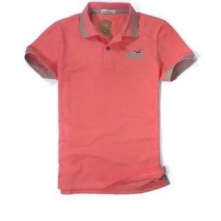 Áo thun nam HOLLISTER mới cực chất
