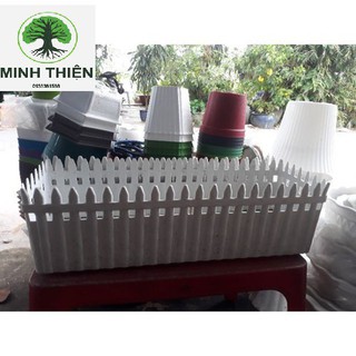 Combo 2 Chậu hàng rào lớn 65cmx20cmx21cm