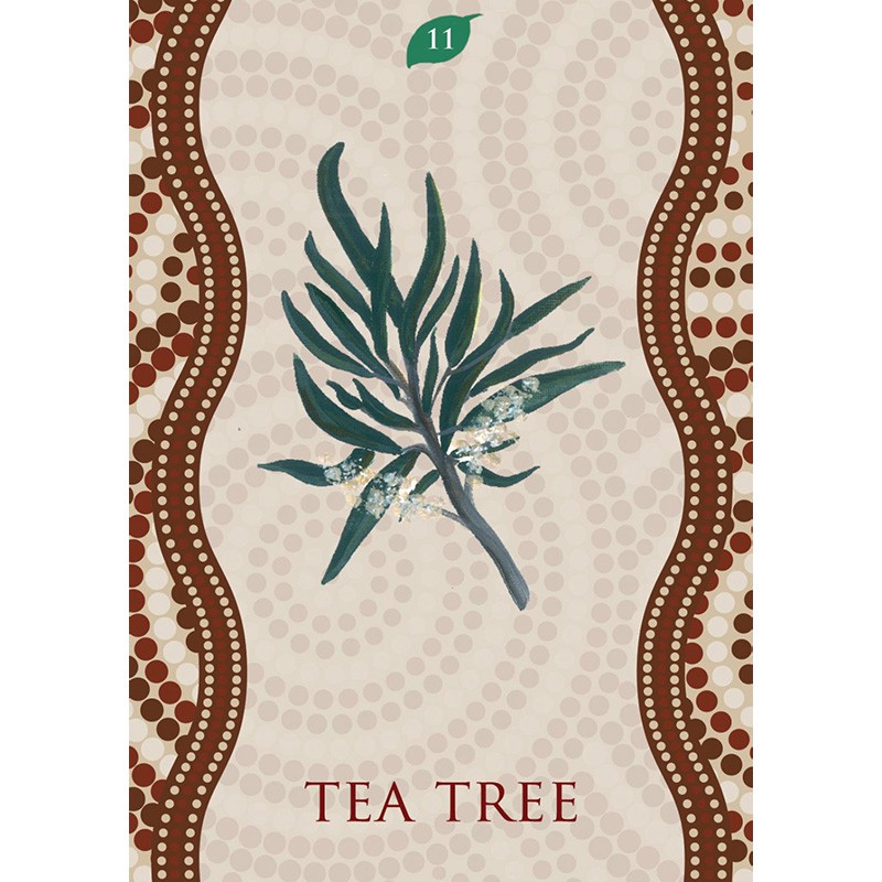 Bộ Bài Aboriginal Healing Oracle (Mystic House Tarot Shop) - Bài Gốc Authentic Chính Hãng 100%