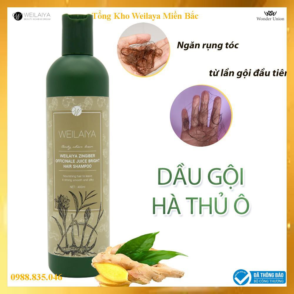 Dầu Gội Đầu Weilaiya Tinh Chất Hà Thủ Ô 400 Ml | BigBuy360 - bigbuy360.vn