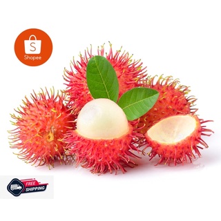 [CHỈ GIAO Q.GÒ VẤP] chôm thái ngọt,tróc (1kg-3kg)