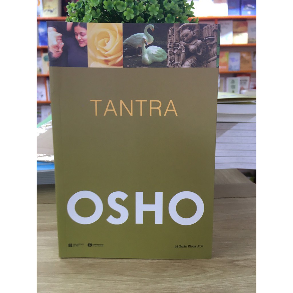 Sách - Combo Osho (5 Cuốn): Thiền, Đạo, Tantra, Đức Phật, Upanishad | BigBuy360 - bigbuy360.vn
