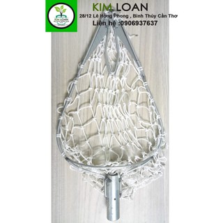Combo 2 vợt hái trái + 1 hộp lưỡi + 2 lưới thay thế