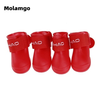 Giày đi mưa cho chó mèo