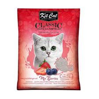 🐾🐾 Cát thủy tinh KitCat🐾🐾