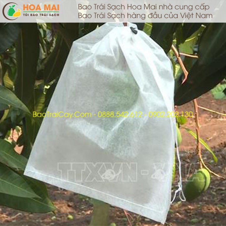 Túi bao xoài nhỏ Hoa Mai 18x24  chống sâu ruồi vàng đục quả bao trái sạch giá rẻ - hàng chính hãng