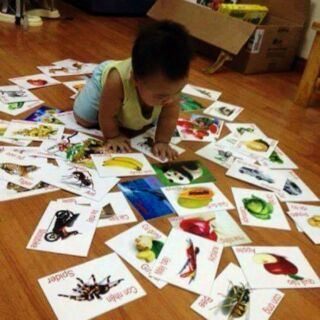 Bộ thẻ học 16 chủ đề cho bé