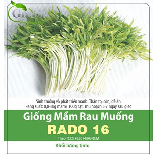 Hạt Giống Mầm Rau Muống (50 Gam)