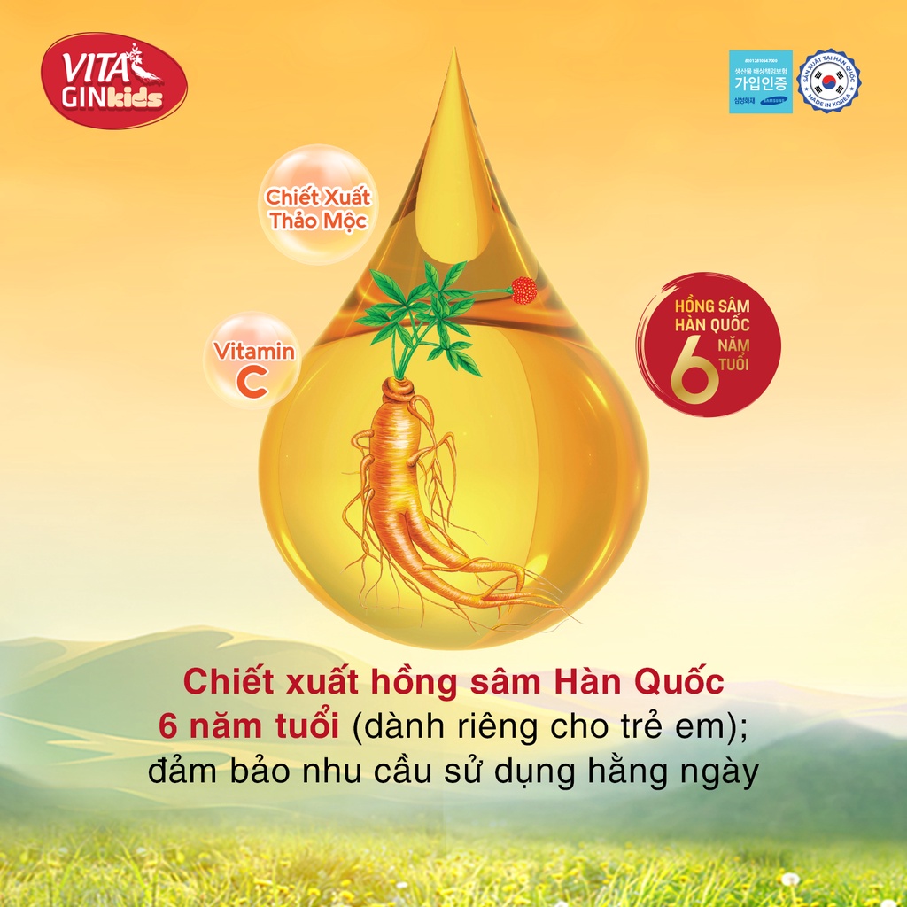 Combo 10 Túi Nước hồng sâm trẻ em Vital Gin Kid's vị trái cây (10 túi x 100ml)