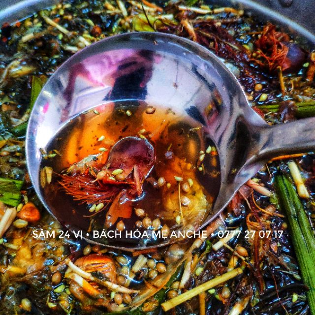 Sâm 24 vị phần nấu 10 lít sâm meanche