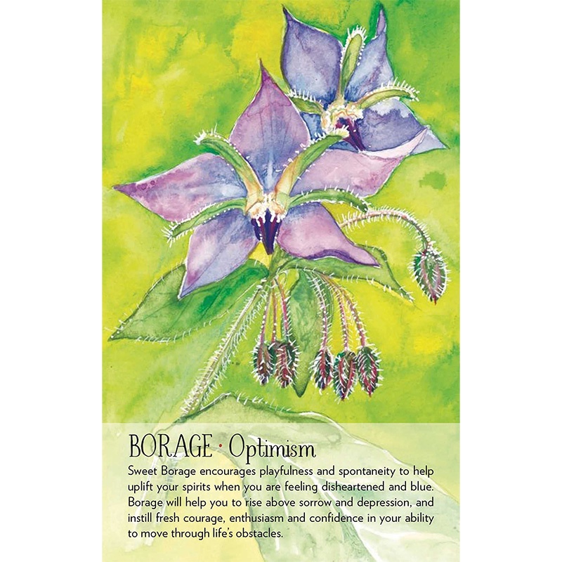 Bộ Bài Soulflower Plant Spirit Oracle  - Bài Gốc Authentic Chính Hãng 100%