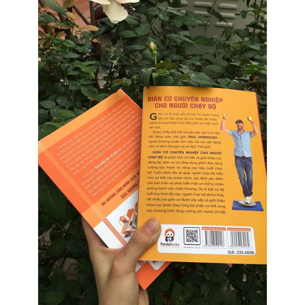 Sách Thể Thao - Combo Sức khỏe - Giãn cơ chuyên nghiệp dành cho người chạy bộ - Giải phẫu học về giãn cơ - Pandabooks | BigBuy360 - bigbuy360.vn