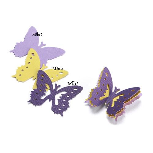 Phụ liệu làm quilling