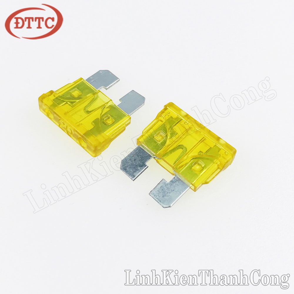 5 Chiếc Cầu chì oto 20A