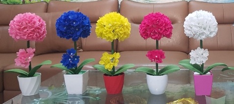Com Bo Chậu Nhựa Cắm Hoa
