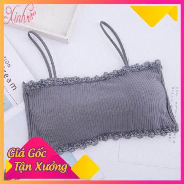 Áo Bra Cotton Tăm Viền Ren Cài Sau Siêu Mềm 8832