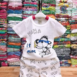 Combo 6 bộ bé trai, gái