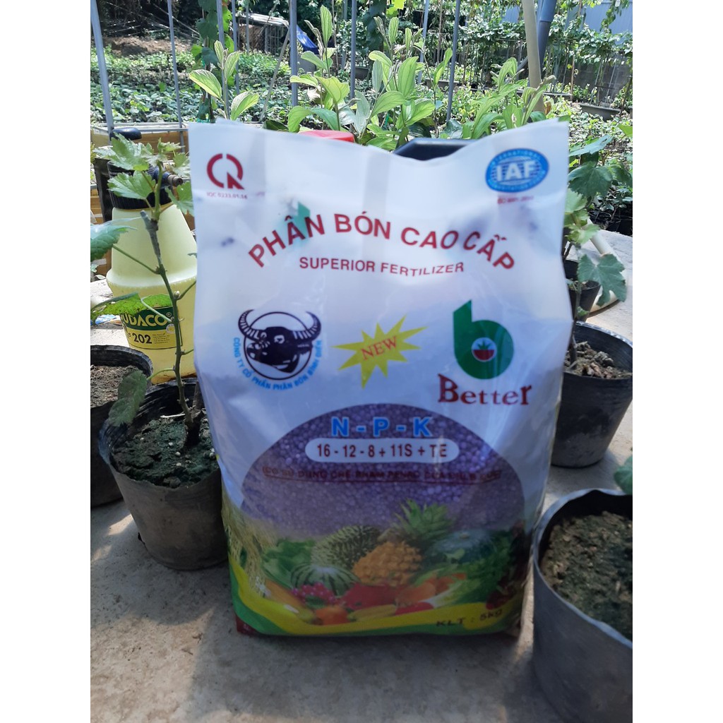 Phân Bón NPK Tím Đầu Trâu 16-12-8+11s+TE  1 bịch 5kg