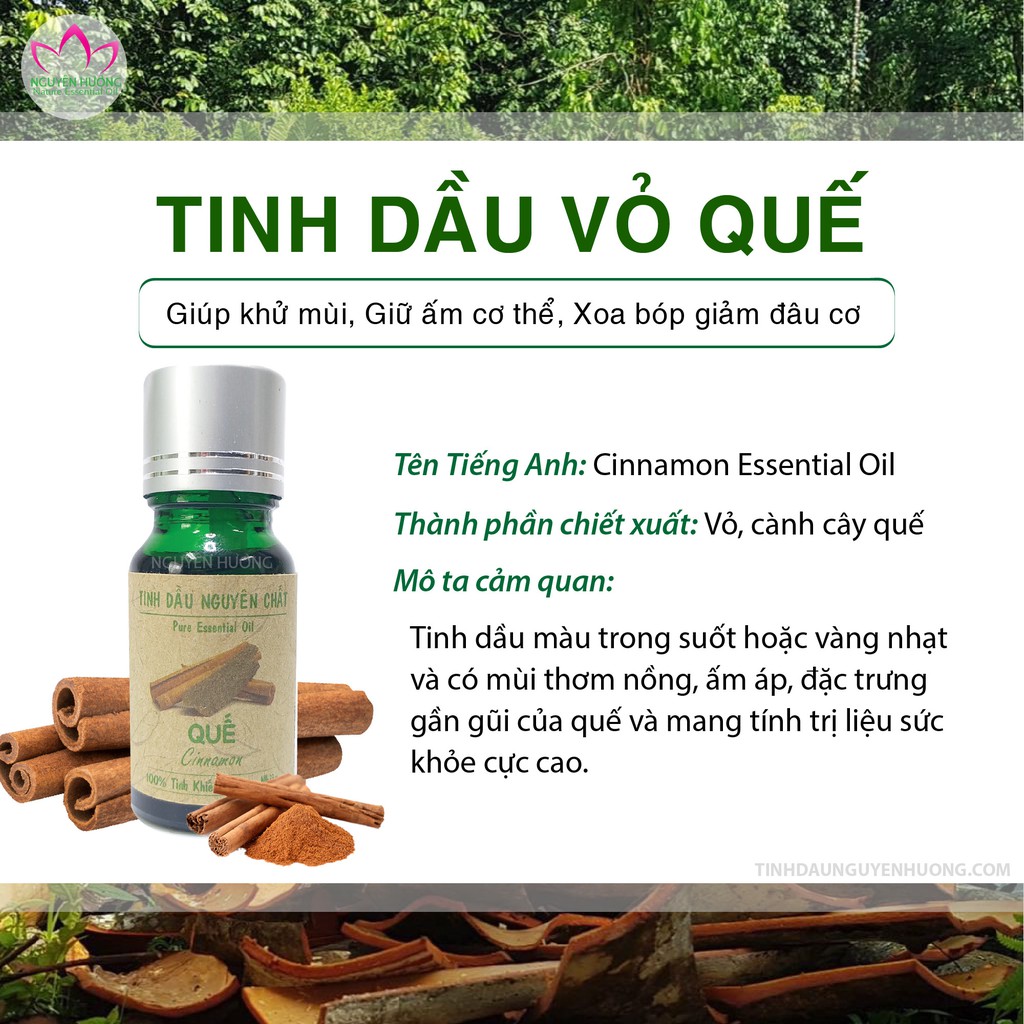 Tinh Dầu Vỏ Quế (Cinnamon) – 100% nguyên chất ( Đuổi muỗi, làm thơm phòng, treo xe ) | Thế Giới Skin Care