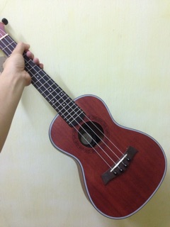 ukulele andrew concert