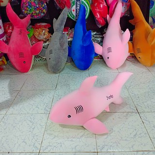 CÁ MẬP NHỒI BÔNG