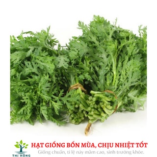 Hạt giống cải cúc tẻ cao sản 20g