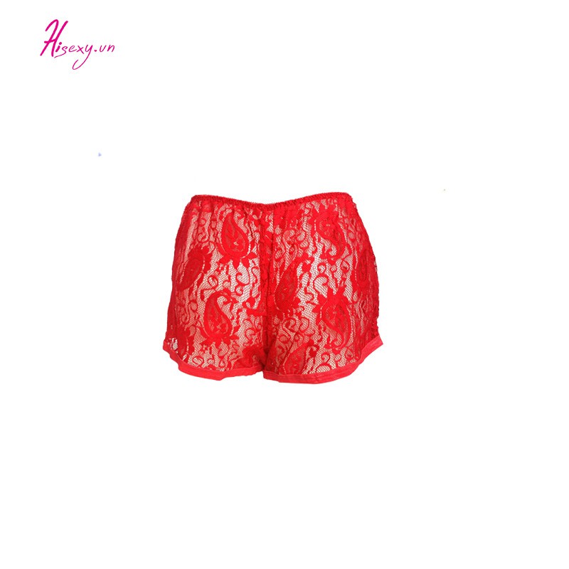 Quần Lót Ren Thoáng Mát Gợi Cảm Hisexy QLR01