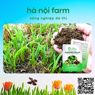 Men ủ sinh học TRICHODERMA BACILILUS gói 200g, tricho đức bình