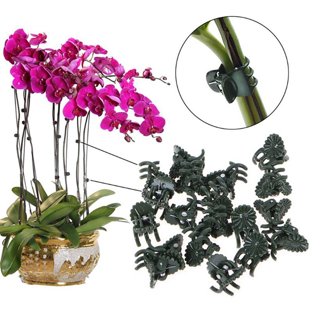 SUENIN Set 100 Kẹp Thân Hoa Lan Làm Vườn Tiện Lợi