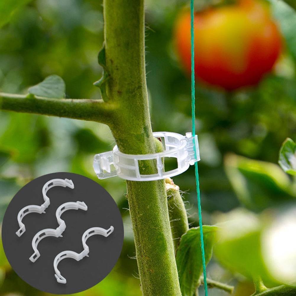 5PCS Kẹp ghép cành bằng nhựa có khóa hỗ trợ trồng cà chua/nho tăng trưởng tốt