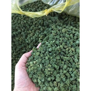 Nụ tam thất 150g