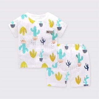Combo 4 bộ cotton giấy cho bé