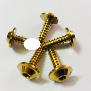 5 con Ốc xi Vàng gắn dàn áo mọi loại xe máy
