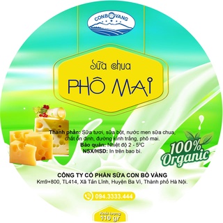 SỮA CHUA PHÔ MAI - CON BÒ VÀNG
