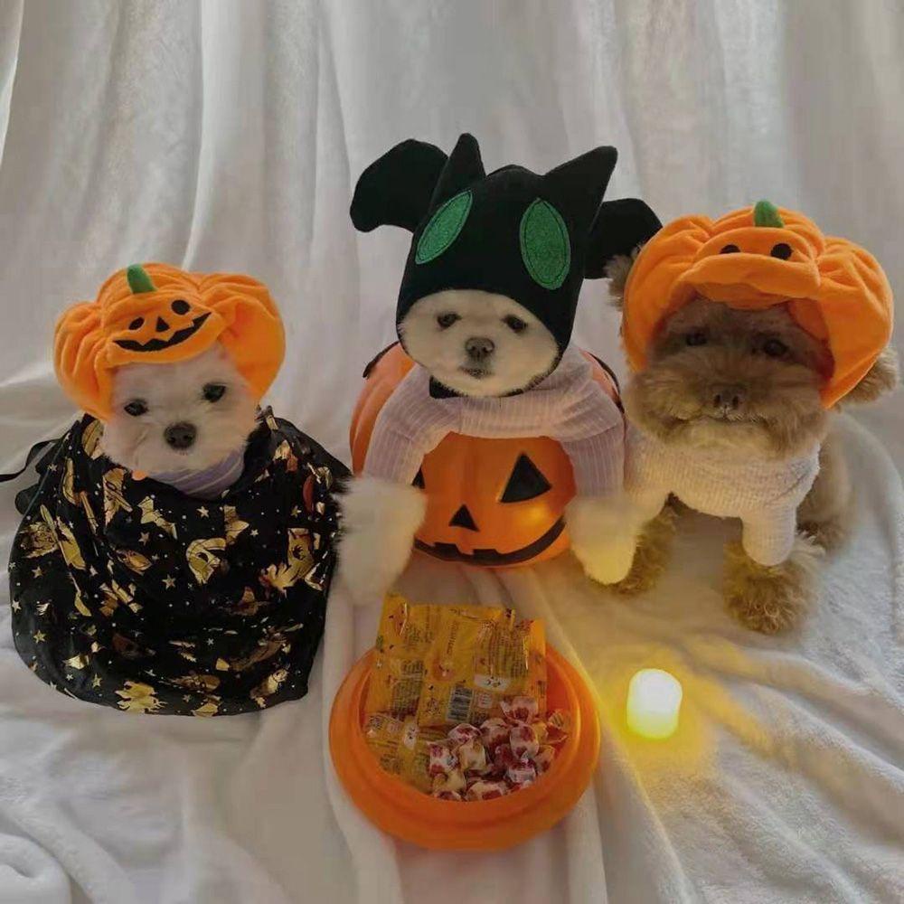 Mũ Đội Hình Quả Bí Ngô Halloween Dễ Thương Dành Cho Cún Cưng