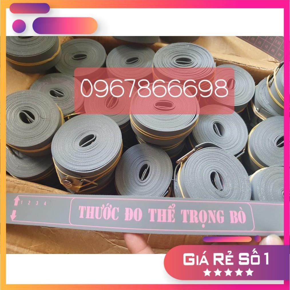 Thước đo thể trọng trâu bò